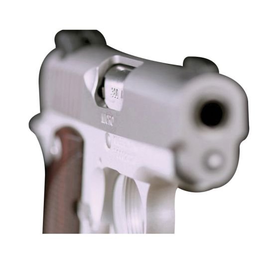 Kimber Micro Stainless Rosewood NS .380 ACP 2.75" 7rds, Silver