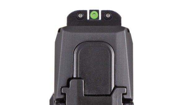 Sig P365 9mm Pistol